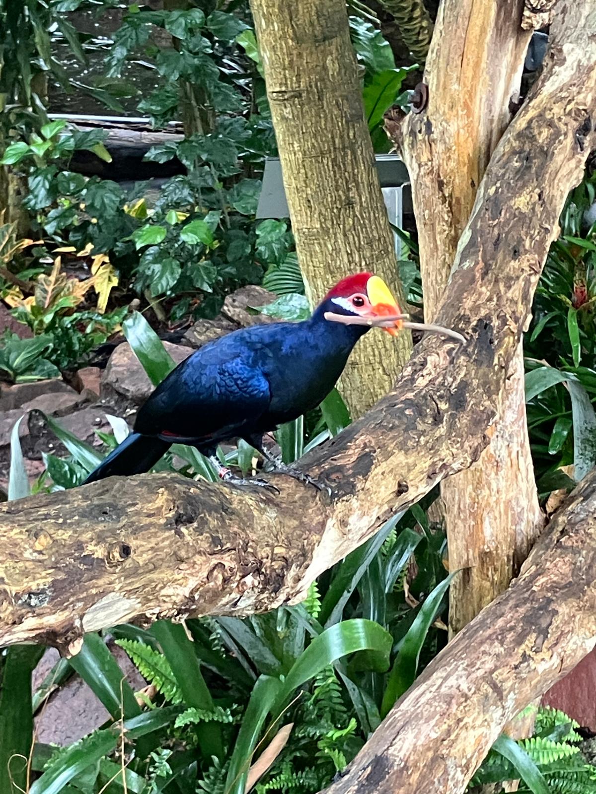 Foto 4 bij artikel "Uitje naar de Orchideenhoeve in Luttelgeest".